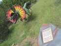 Kids_DinosaurWorld (19)